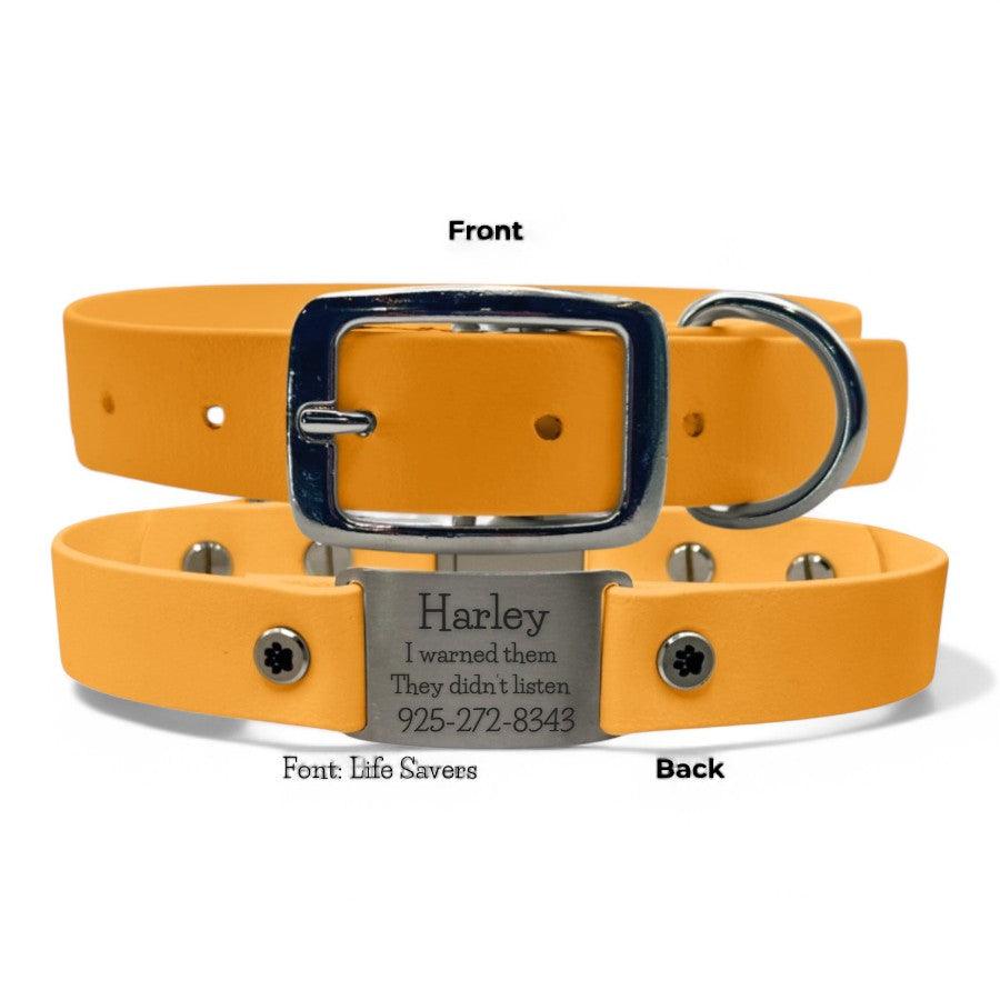 Personalized Dog Collar | Waterproof Buckle Collar - BFFGear