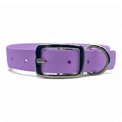 Waterproof Buckle Dog Collar - BFFGear