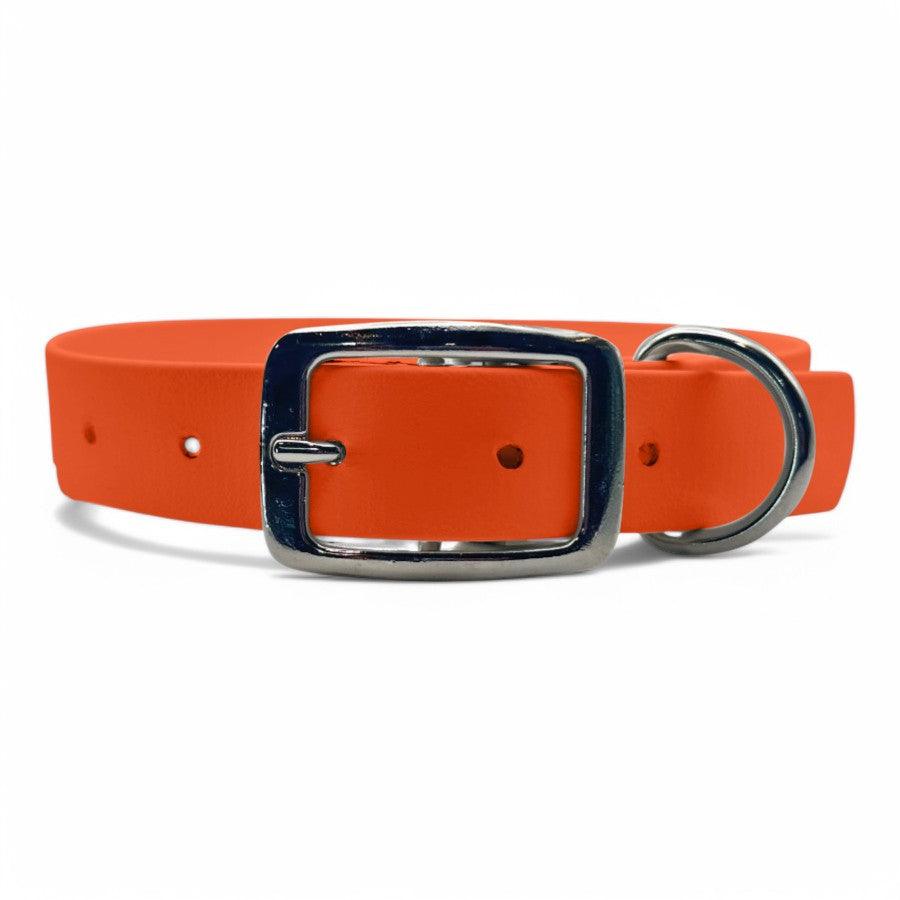 Waterproof Buckle Dog Collar - BFFGear