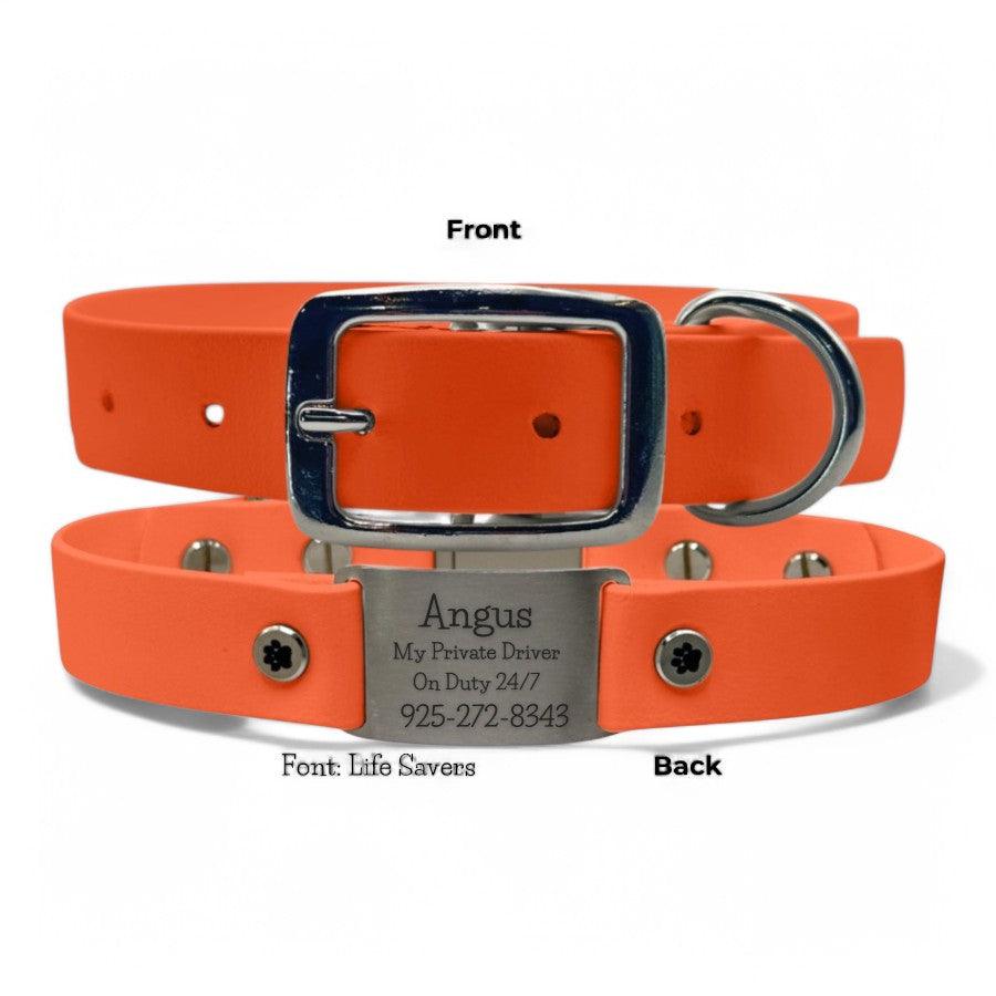 Personalized Dog Collar | Waterproof Buckle Collar - BFFGear