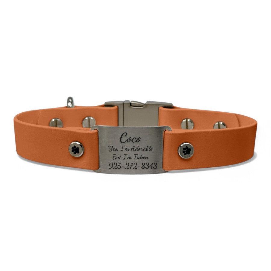 Waterproof Slip Collar - BFFGear