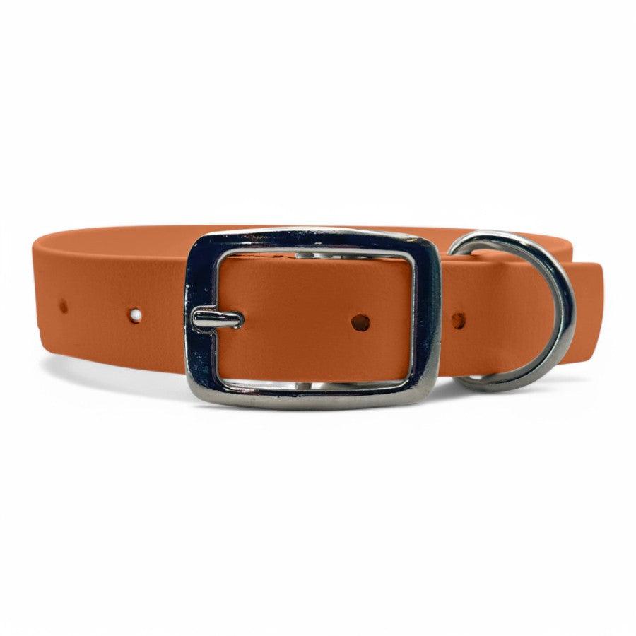 Waterproof Buckle Dog Collar - BFFGear