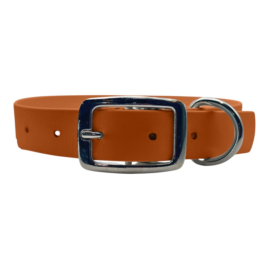 Waterproof Buckle Dog Collar - BFFGear