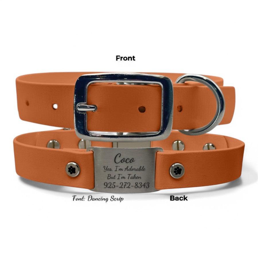 Personalized Dog Collar | Waterproof Buckle Collar - BFFGear