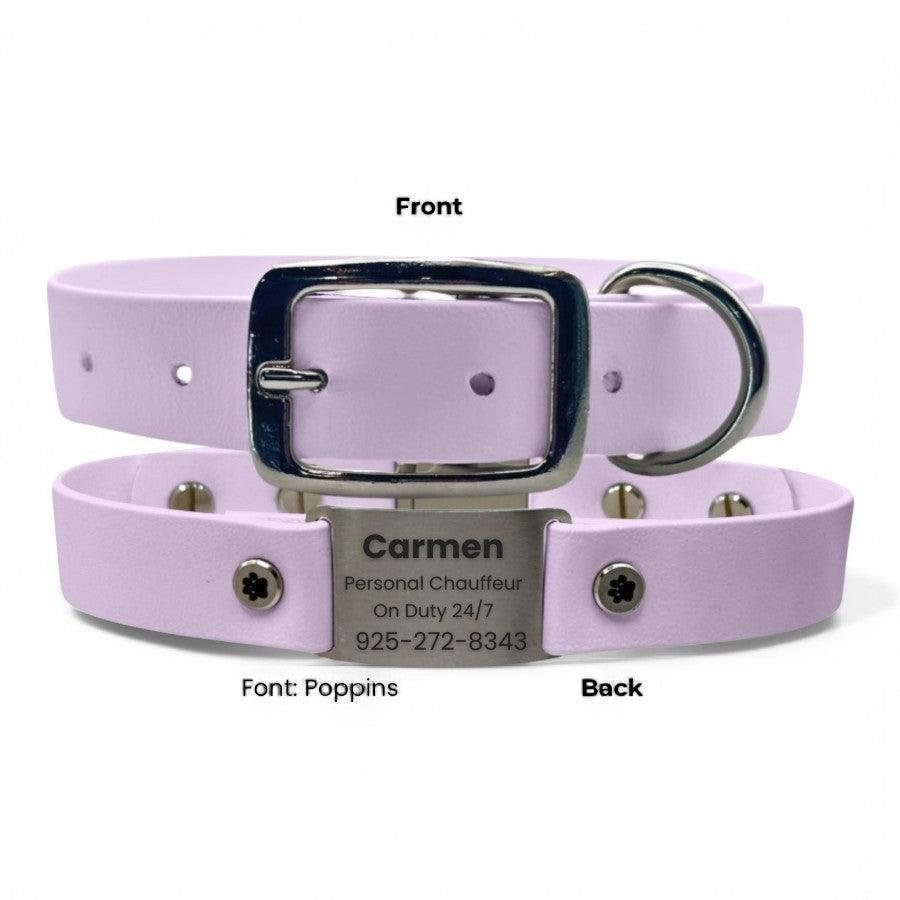 Personalized Dog Collar | Waterproof Buckle Collar - BFFGear