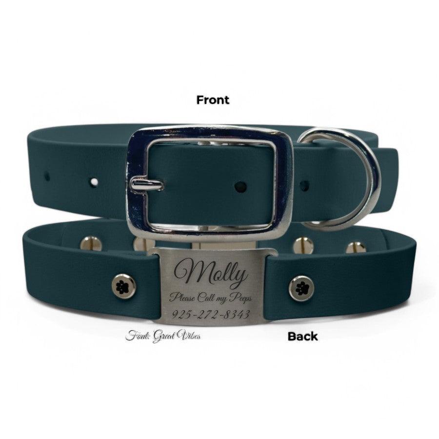 Personalized Dog Collar | Waterproof Buckle Collar - BFFGear