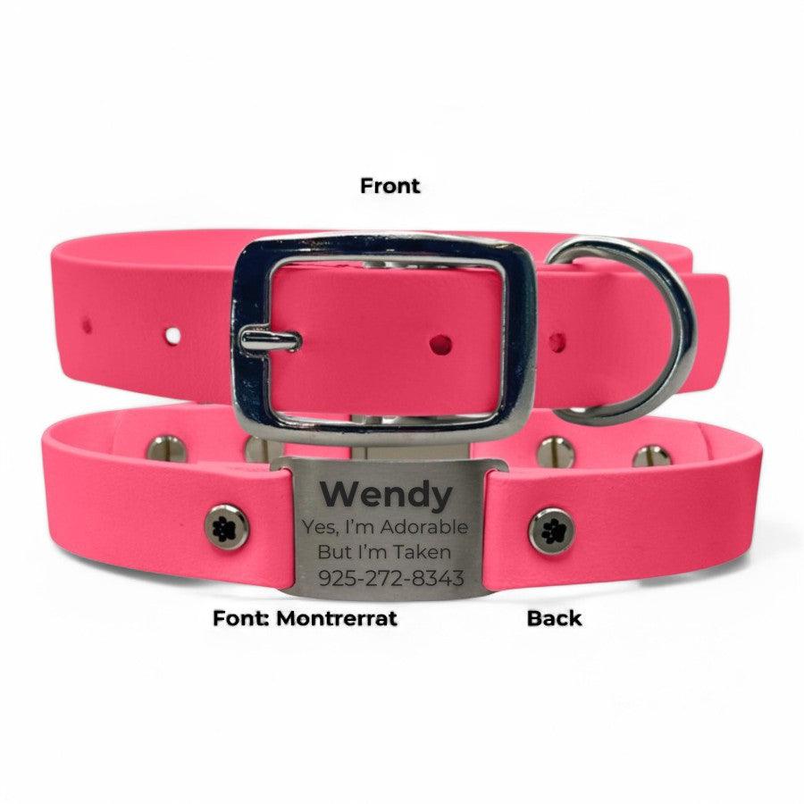 Personalized Dog Collar | Waterproof Buckle Collar - BFFGear