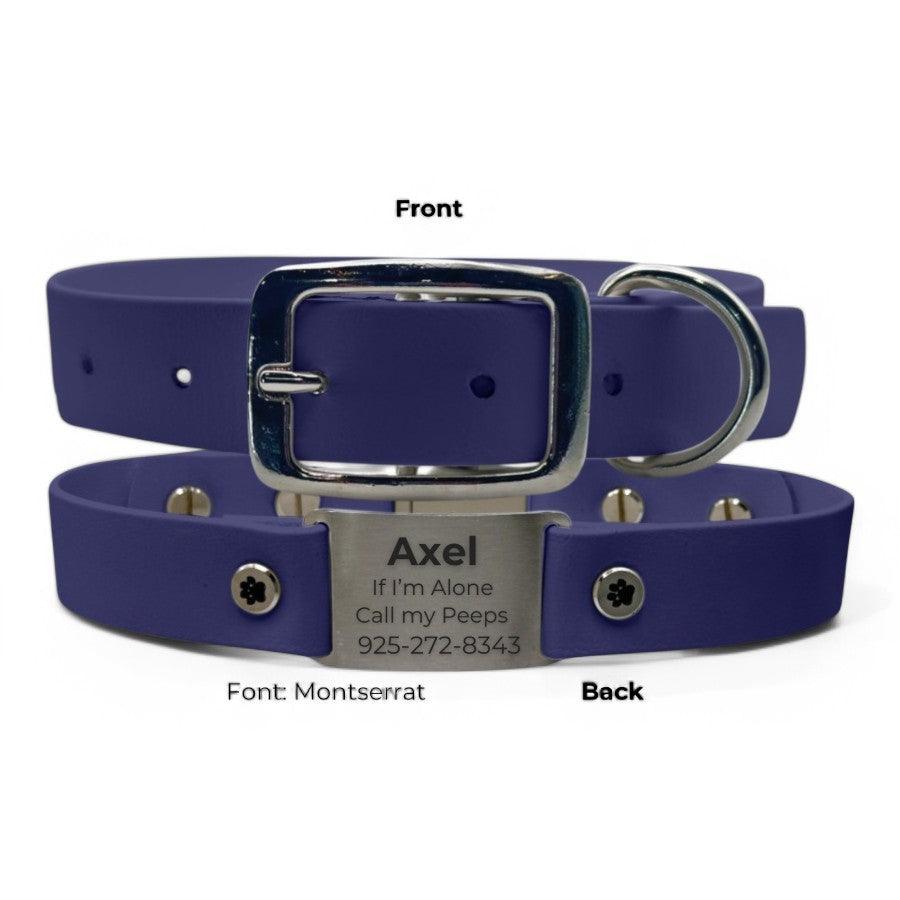 Personalized Dog Collar | Waterproof Buckle Collar - BFFGear