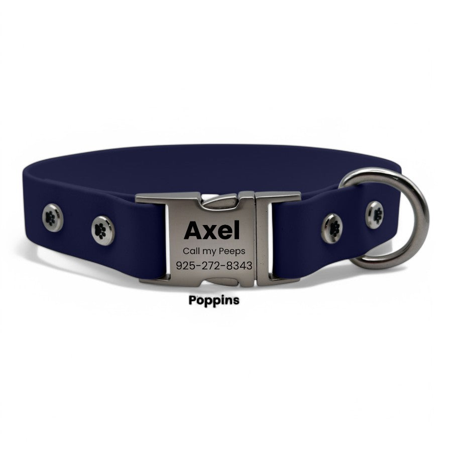 Personalized Dog Collar with Quick Release Buckle - BFFGear