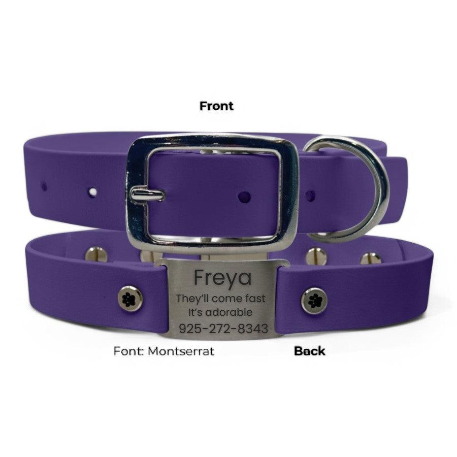 Personalized Dog Collar | Waterproof Buckle Collar - BFFGear