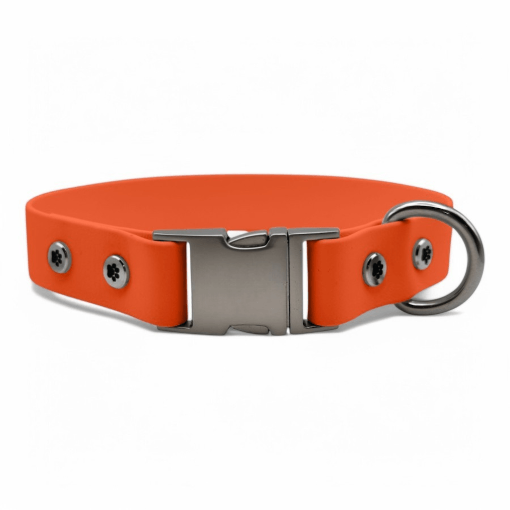 Quick Release Dog Collar Waterproof & Odor-Resistant - BFFGear