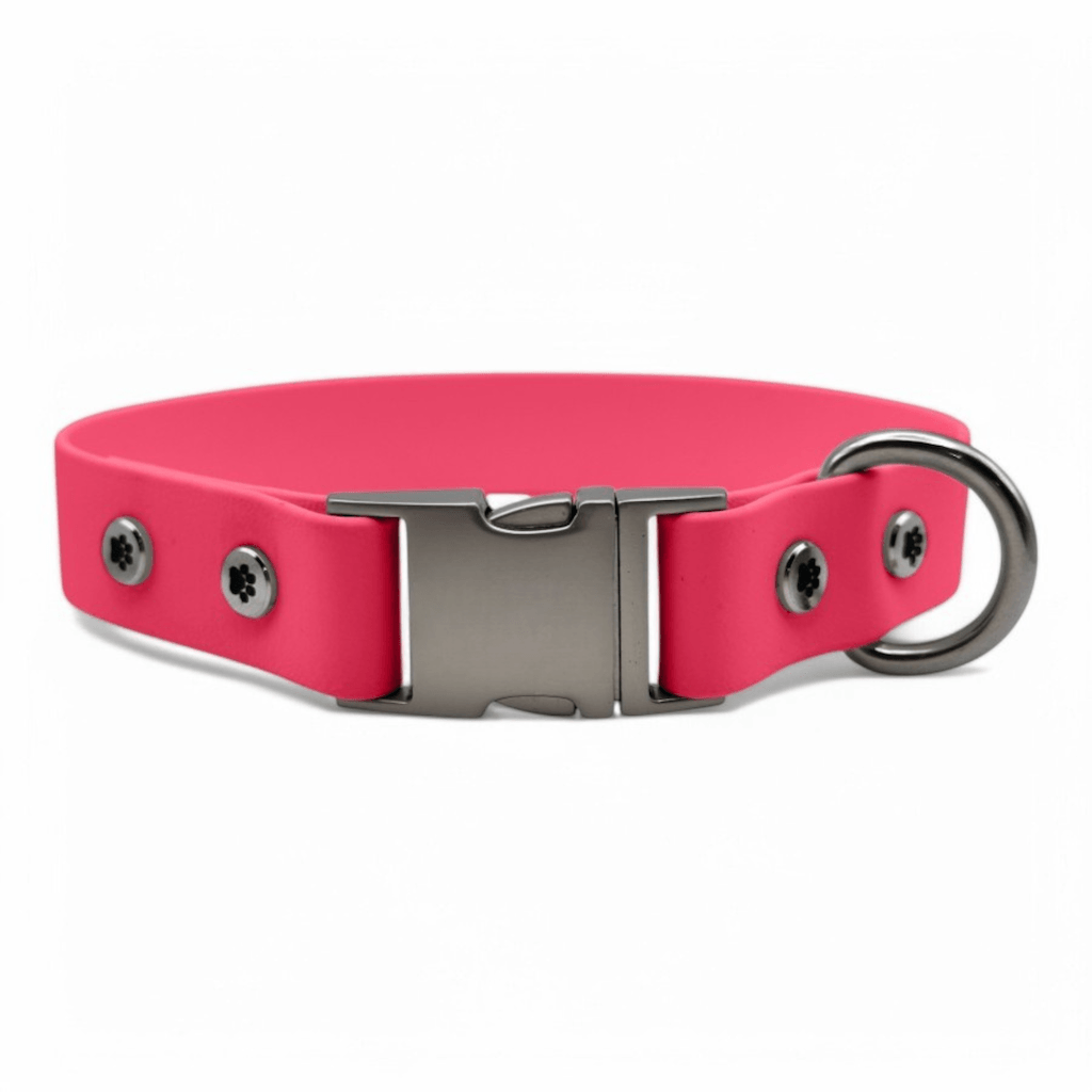 Quick Release Dog Collar Waterproof & Odor-Resistant - BFFGear