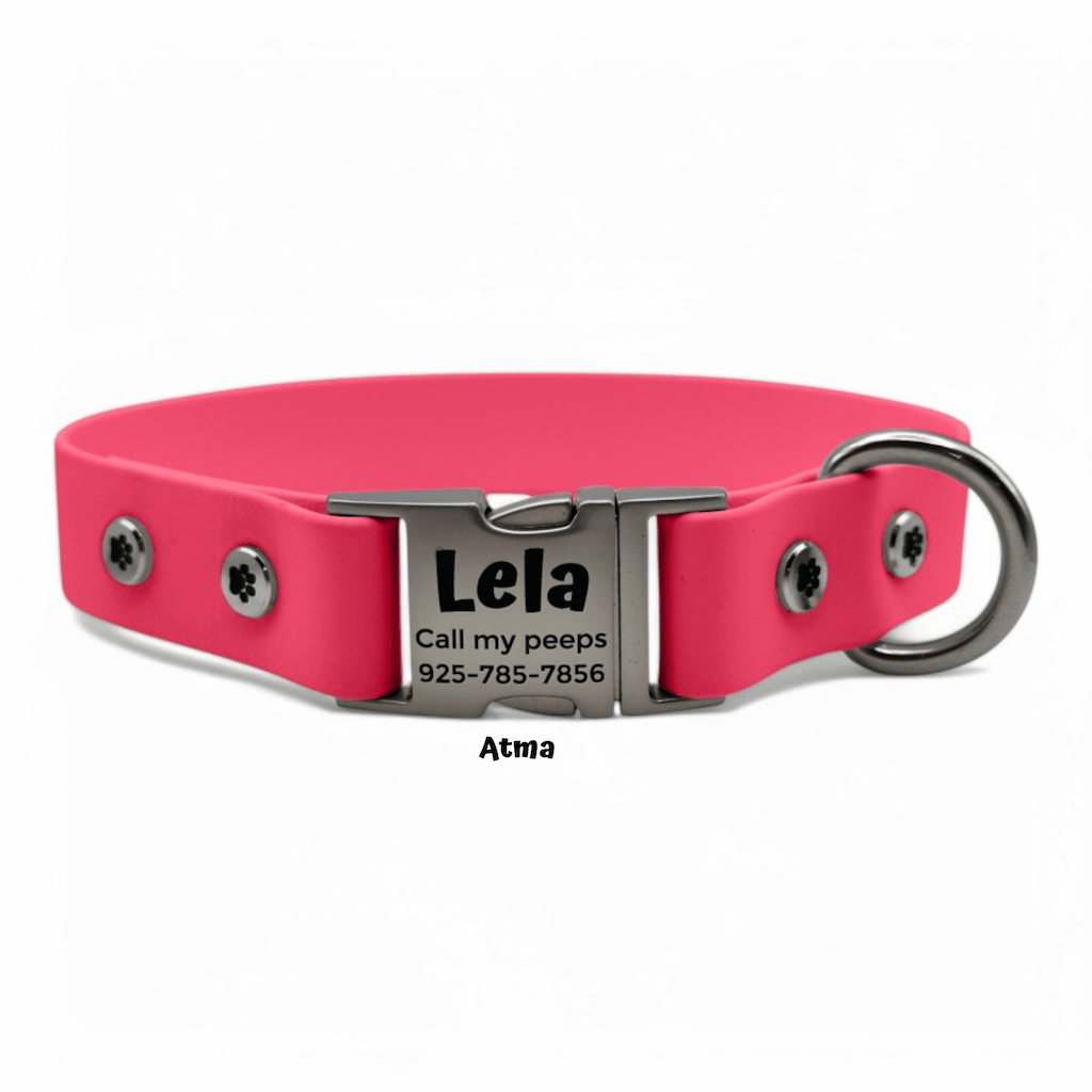 Personalized Dog Collar with Quick Release Buckle - BFFGear