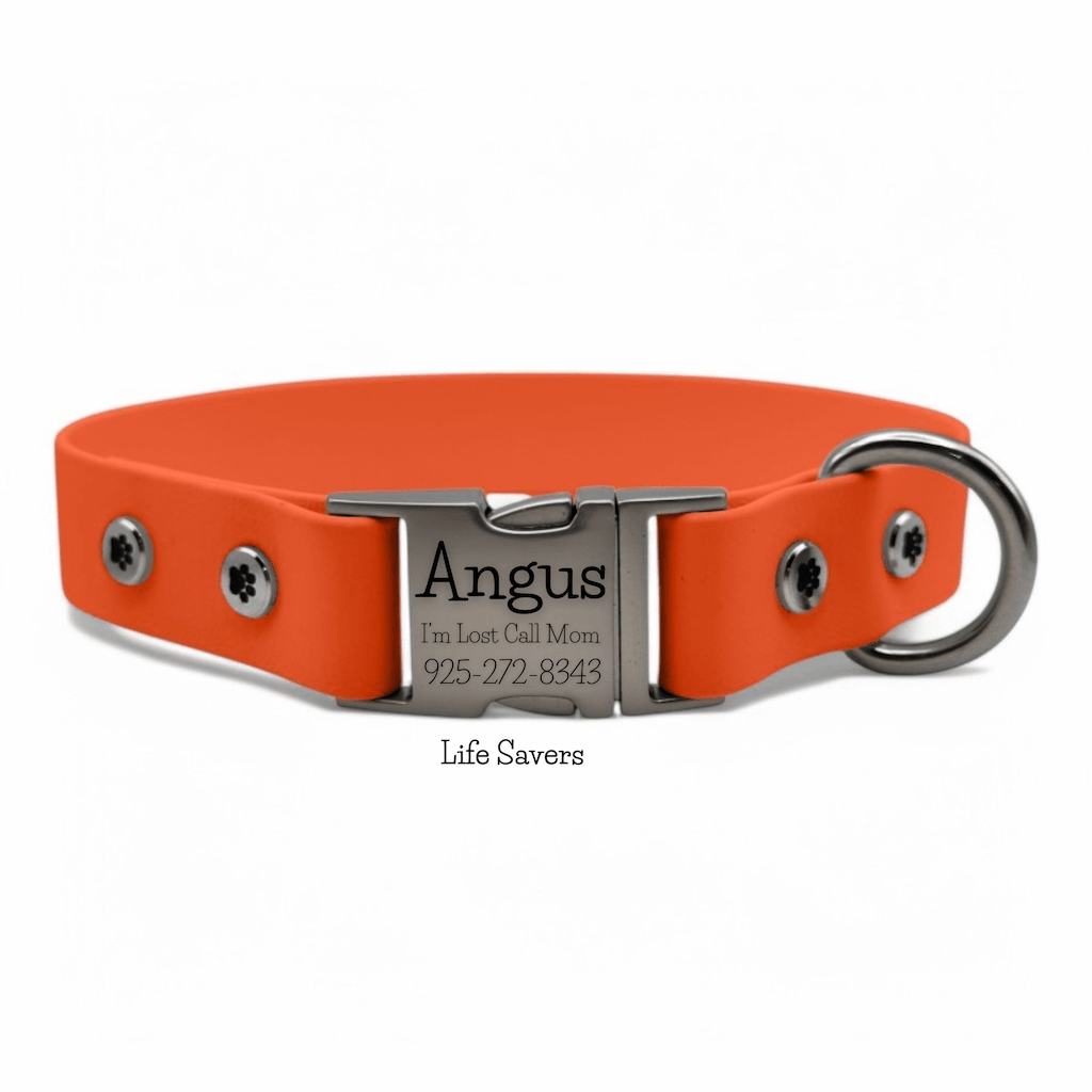 Personalized Dog Collar with Quick Release Buckle - BFFGear