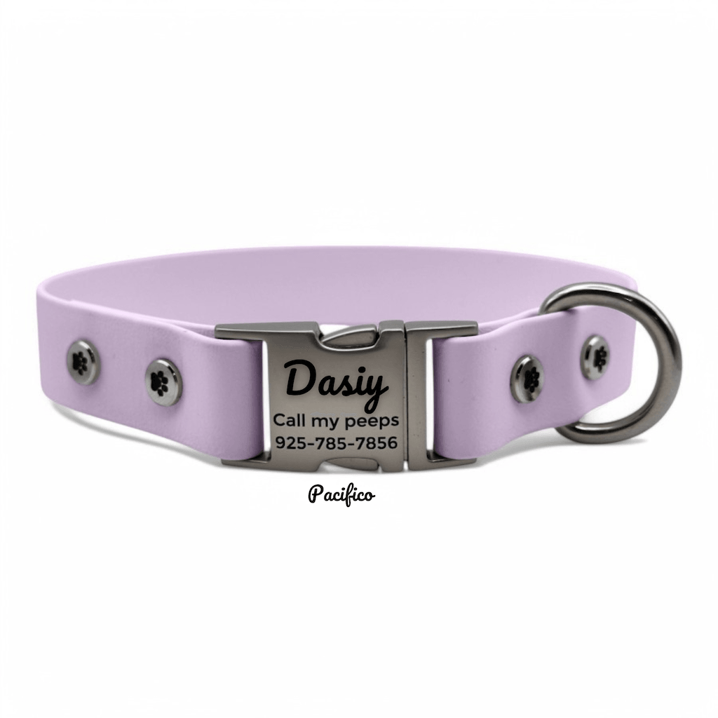 Personalized Dog Collar with Quick Release Buckle - BFFGear