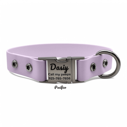 Personalized Dog Collar with Quick Release Buckle - BFFGear