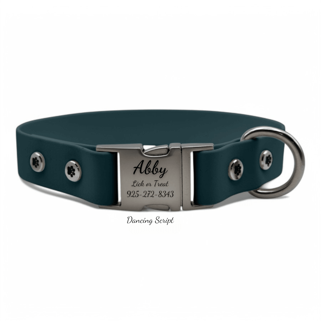 Personalized Dog Collar with Quick Release Buckle - BFFGear