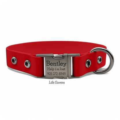 Personalized Dog Collar with Quick Release Buckle - BFFGear