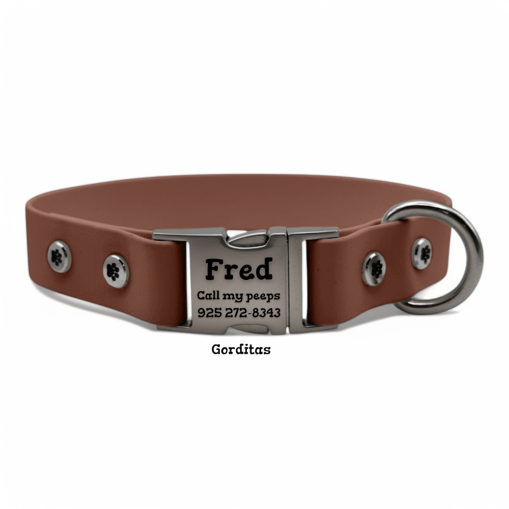 Personalized Dog Collar with Quick Release Buckle - BFFGear