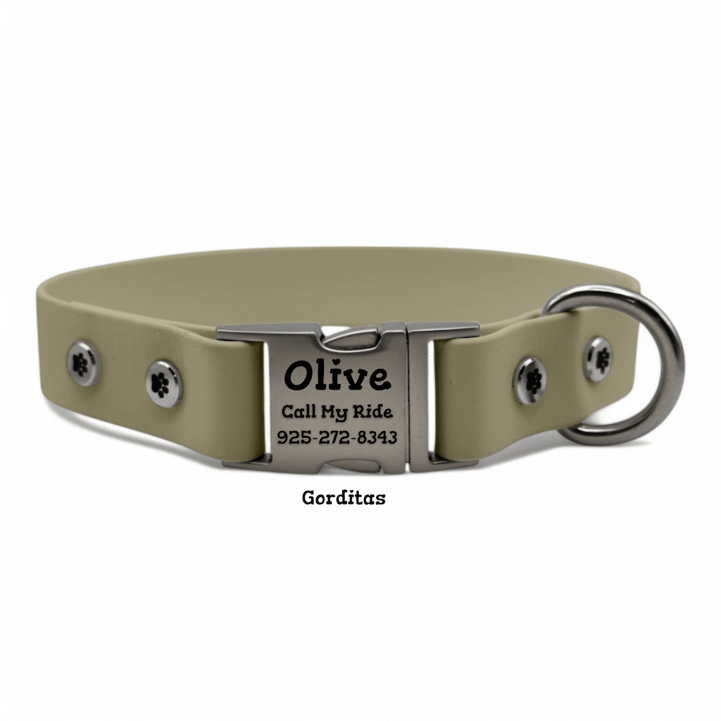 Personalized Dog Collar with Quick Release Buckle - BFFGear