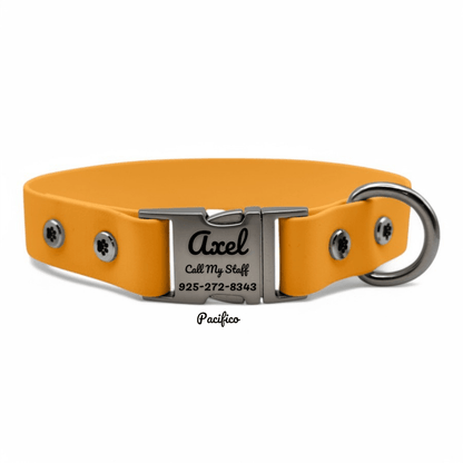 Personalized Dog Collar with Quick Release Buckle - BFFGear