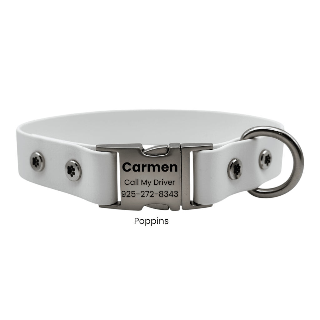 Personalized Dog Collar with Quick Release Buckle - BFFGear