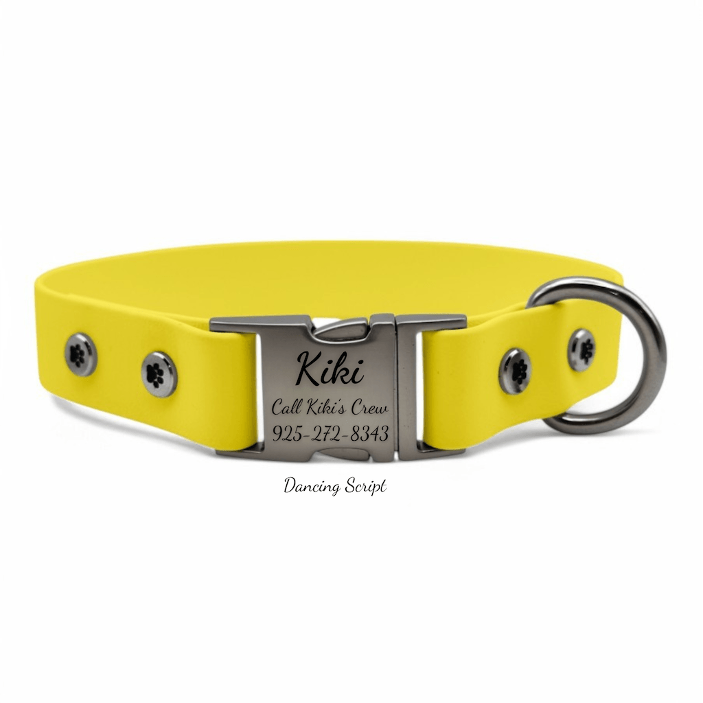 Personalized Dog Collar with Quick Release Buckle - BFFGear