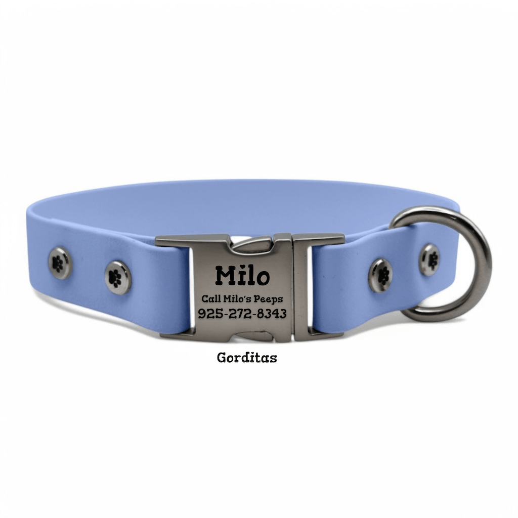 Personalized Dog Collar with Quick Release Buckle - BFFGear