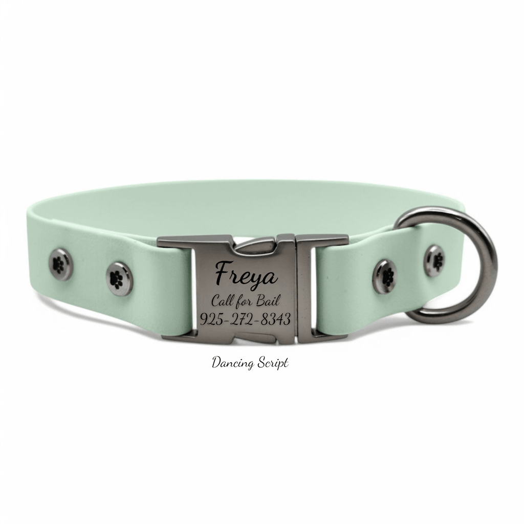 Personalized Dog Collar with Quick Release Buckle - BFFGear