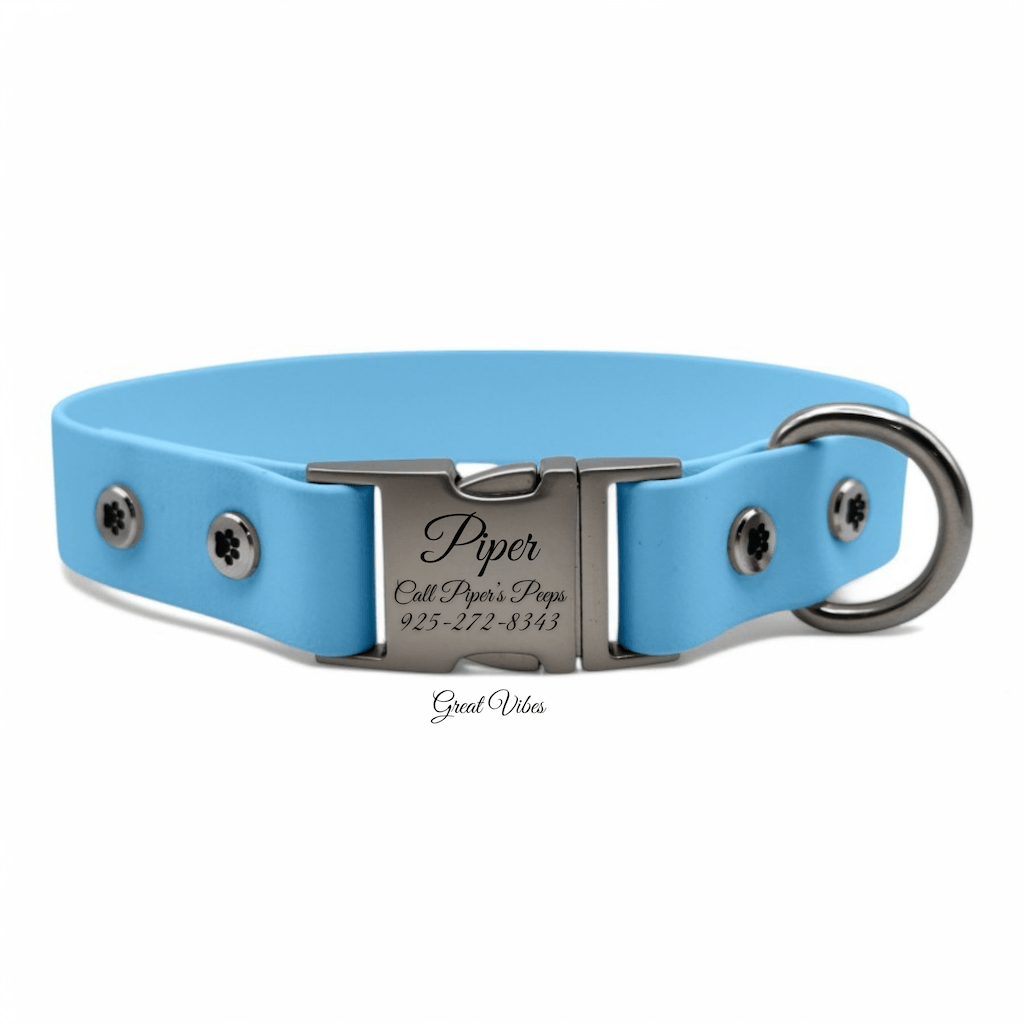 Personalized Dog Collar with Quick Release Buckle - BFFGear