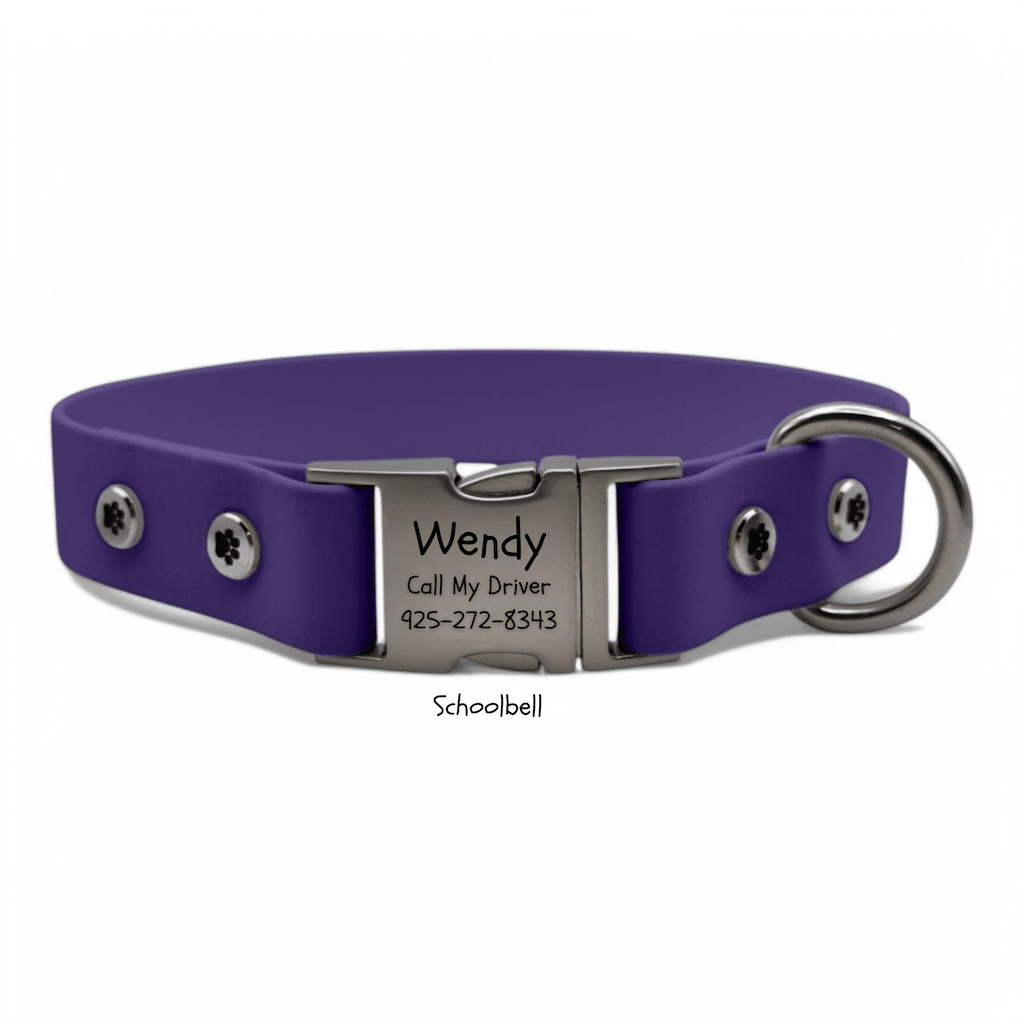 Personalized Dog Collar with Quick Release Buckle - BFFGear