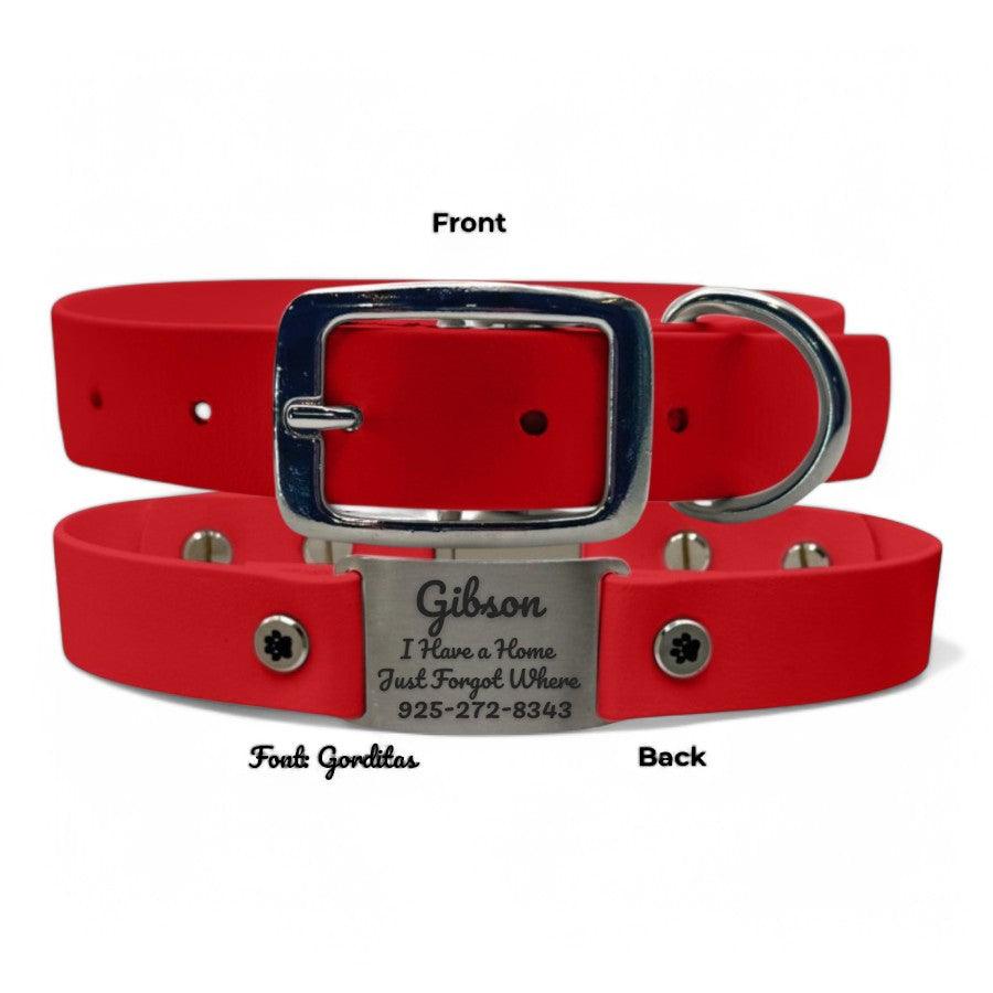 Personalized Dog Collar | Waterproof Buckle Collar - BFFGear