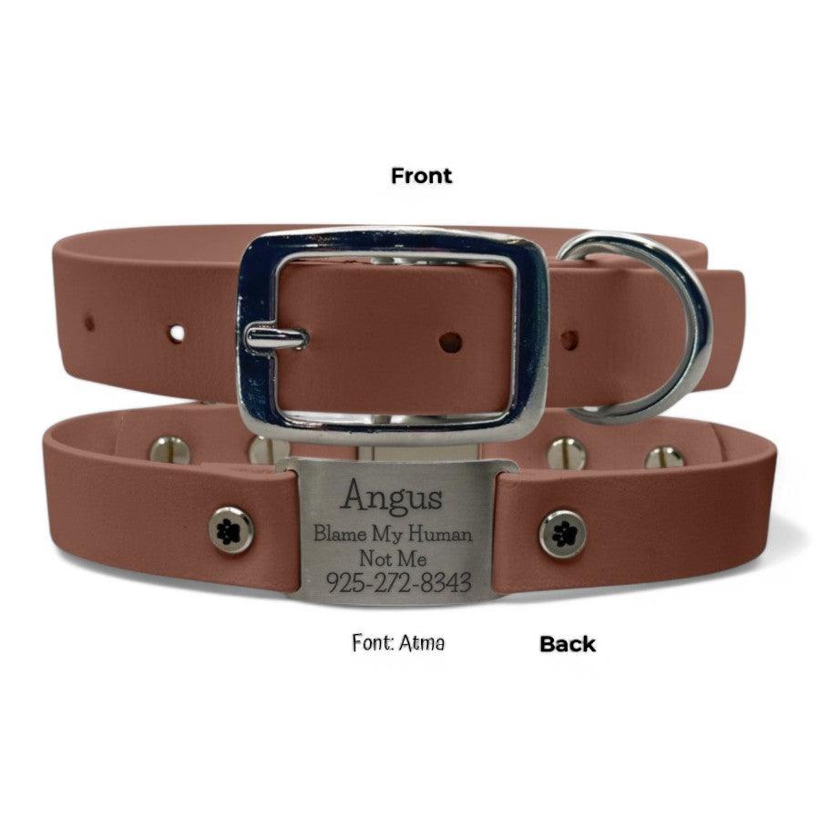 Personalized Dog Collar | Waterproof Buckle Collar - BFFGear