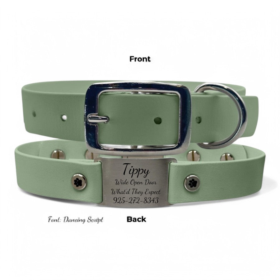 Personalized Dog Collar | Waterproof Buckle Collar - BFFGear