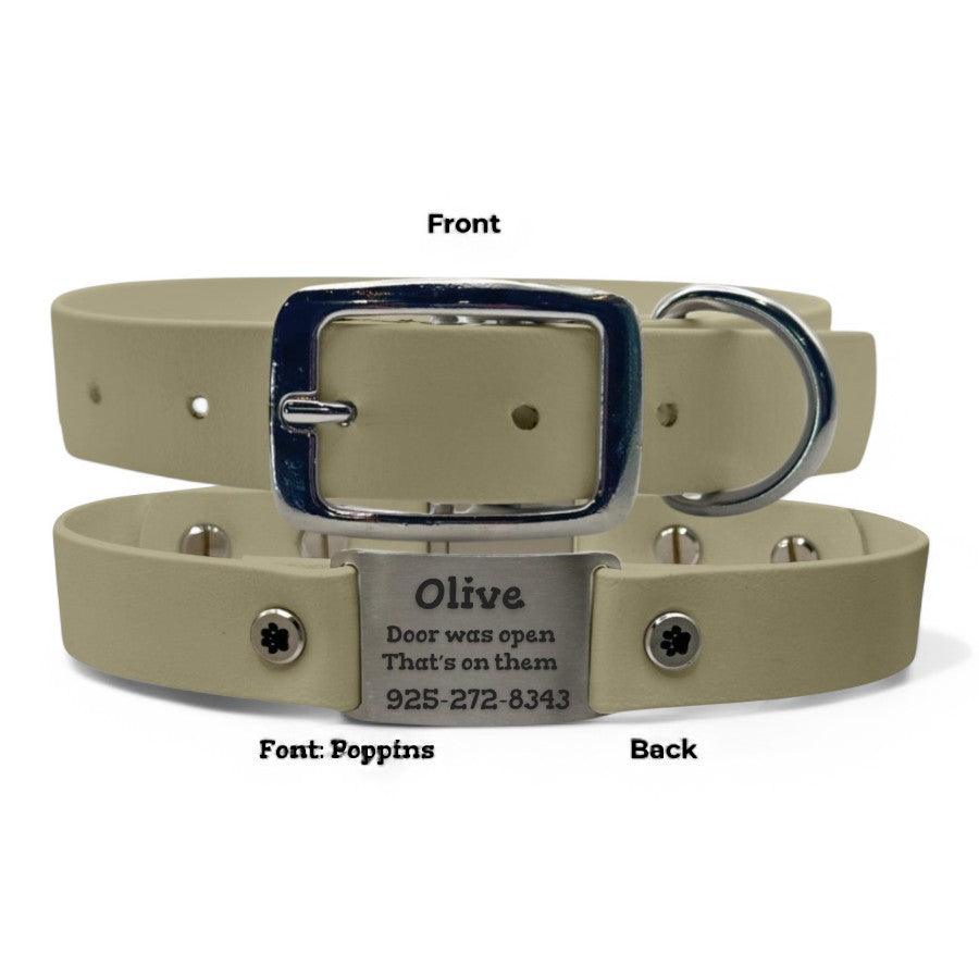 Personalized Dog Collar | Waterproof Buckle Collar - BFFGear