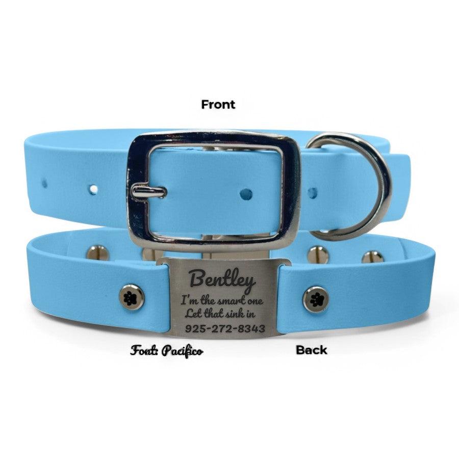 Personalized Dog Collar | Waterproof Buckle Collar - BFFGear