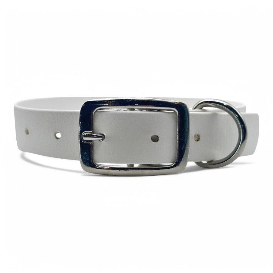 Waterproof Buckle Dog Collar - BFFGear