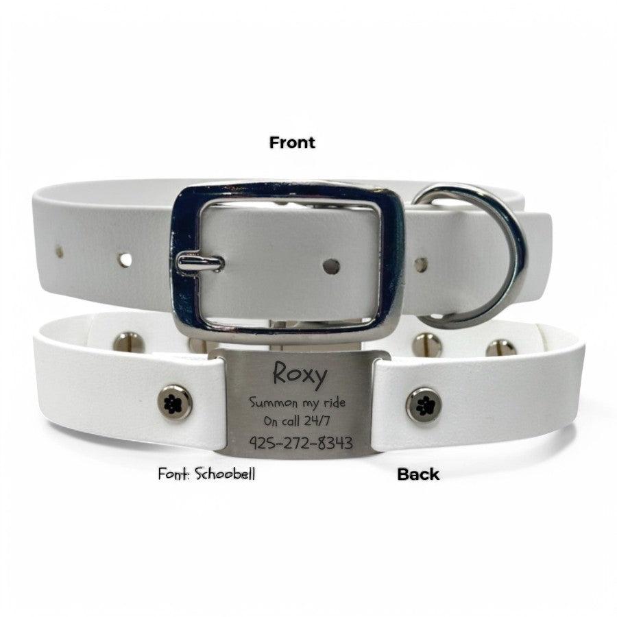 Personalized Dog Collar | Waterproof Buckle Collar - BFFGear