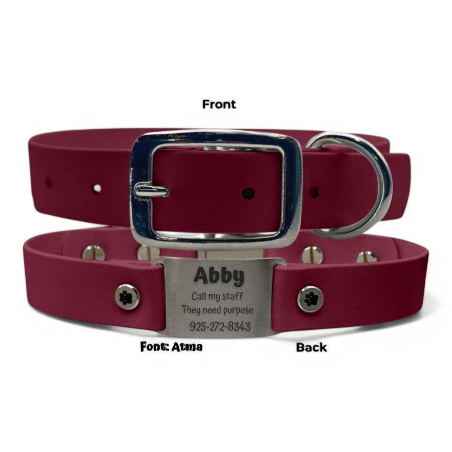 Personalized Dog Collar | Waterproof Buckle Collar - BFFGear