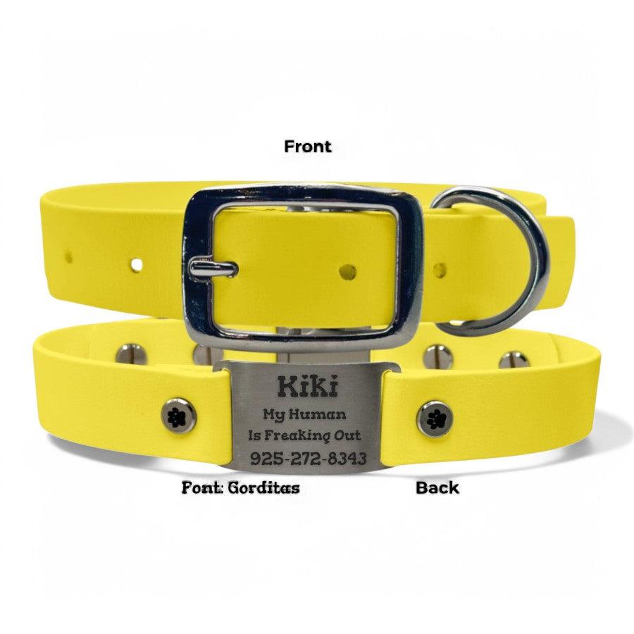 Personalized Dog Collar | Waterproof Buckle Collar - BFFGear