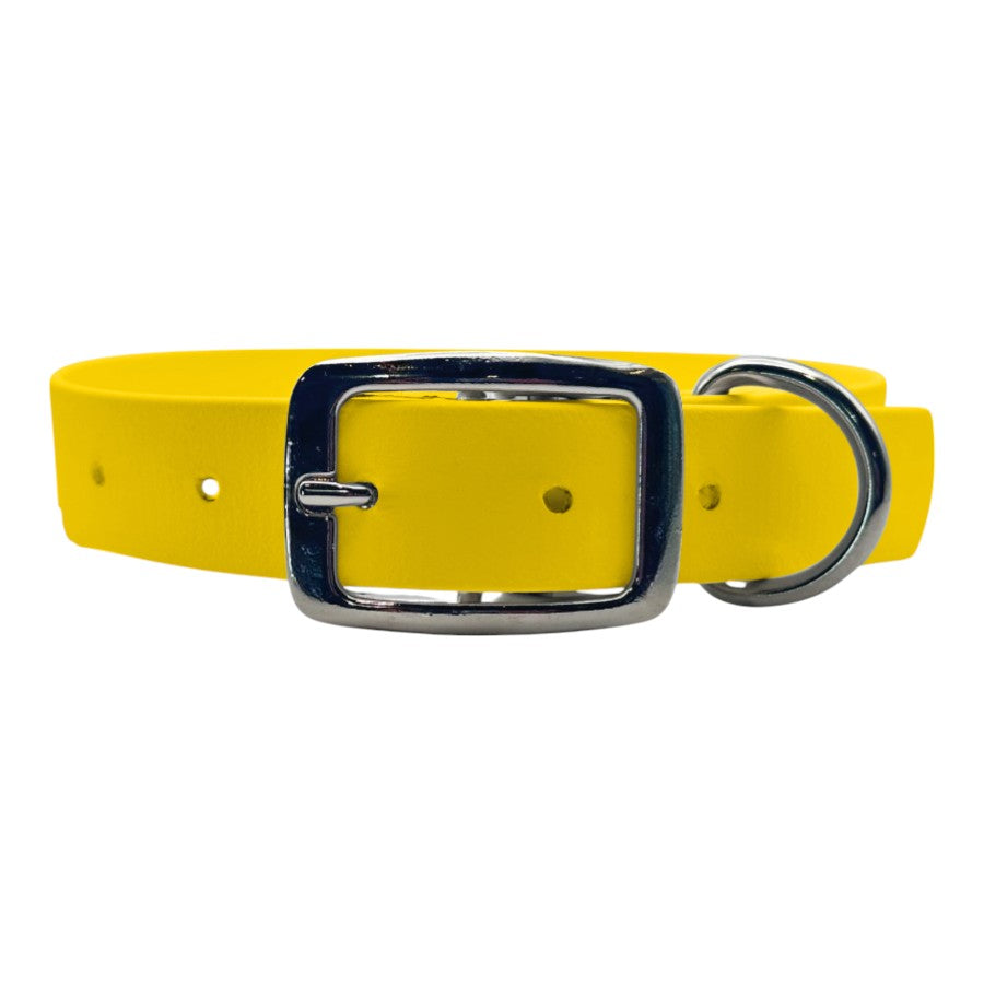 Waterproof Buckle Dog Collar - BFFGear